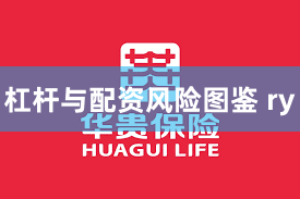 杠杆与配资风险图鉴 ry