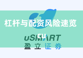 杠杆与配资风险速览 cu